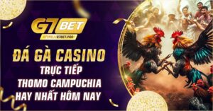 Đá Gà Casino Trực Tiếp Thomo Campuchia Hay Nhất Hôm Nay