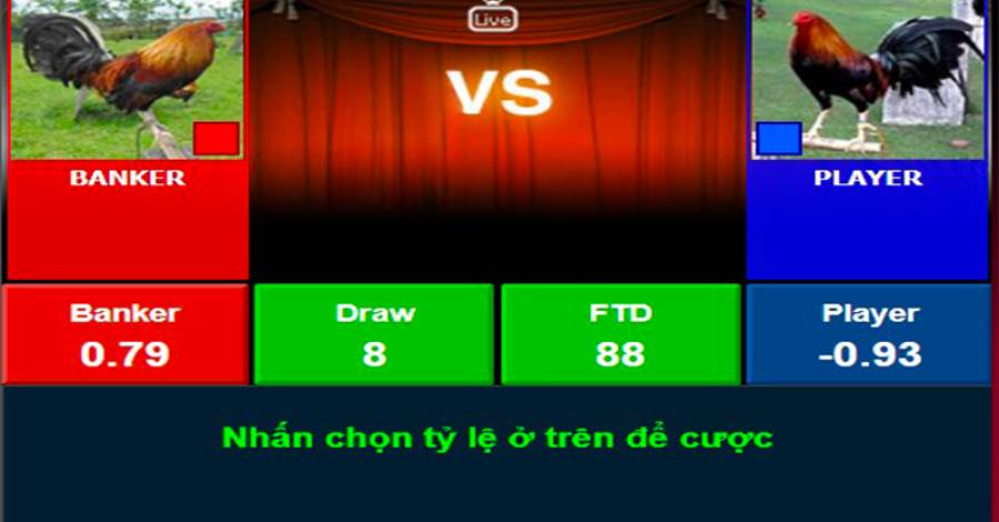 Tìm hiểu các thuật ngữ phổ biến khi tham gia đá gà Casino