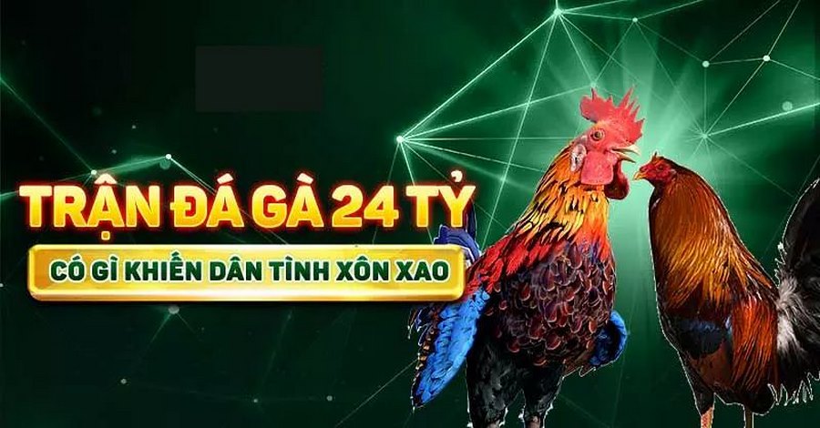 Trận đá gà số tiền thưởng cực lớn