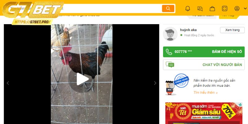 Hướng dẫn sử dụng dịch vụ chợ tốt gà đá An Giang 