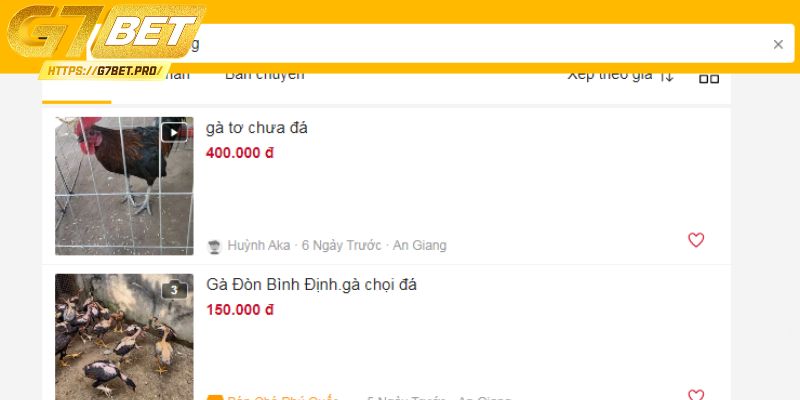 Chợ tốt gà đá tại An Giang với nhiều ưu điểm